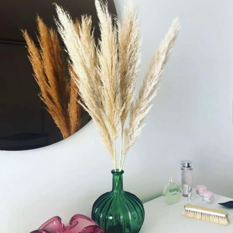 Pampa_épi_situation Pampa épi