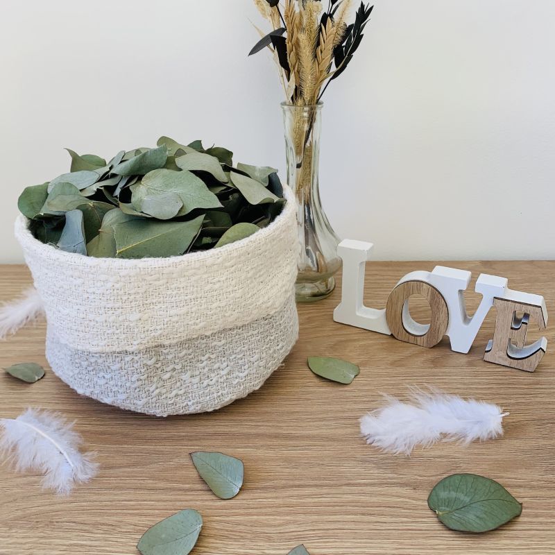 Eucalyptus_confettis_Cinerea_web Eucalyptus_confettis_Cinerea_web