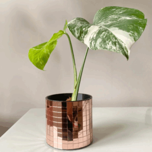 cache-pot-DISCO-S-cuivre