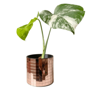 cache-pot-DISCO-S-cuivre-thumb