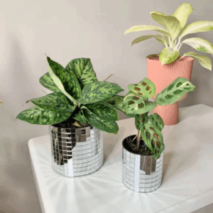 cache-pot_disco_argent-up