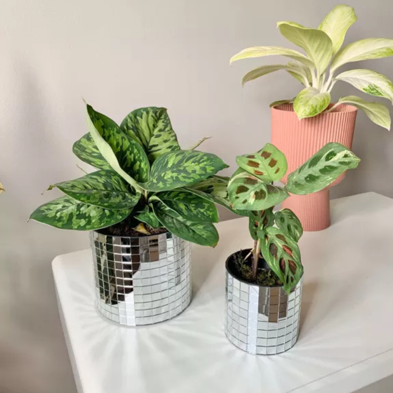 cache-pot_disco_argent-up cache-pot_disco_argent-up