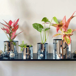 cache_pot_disco_argent_etagere