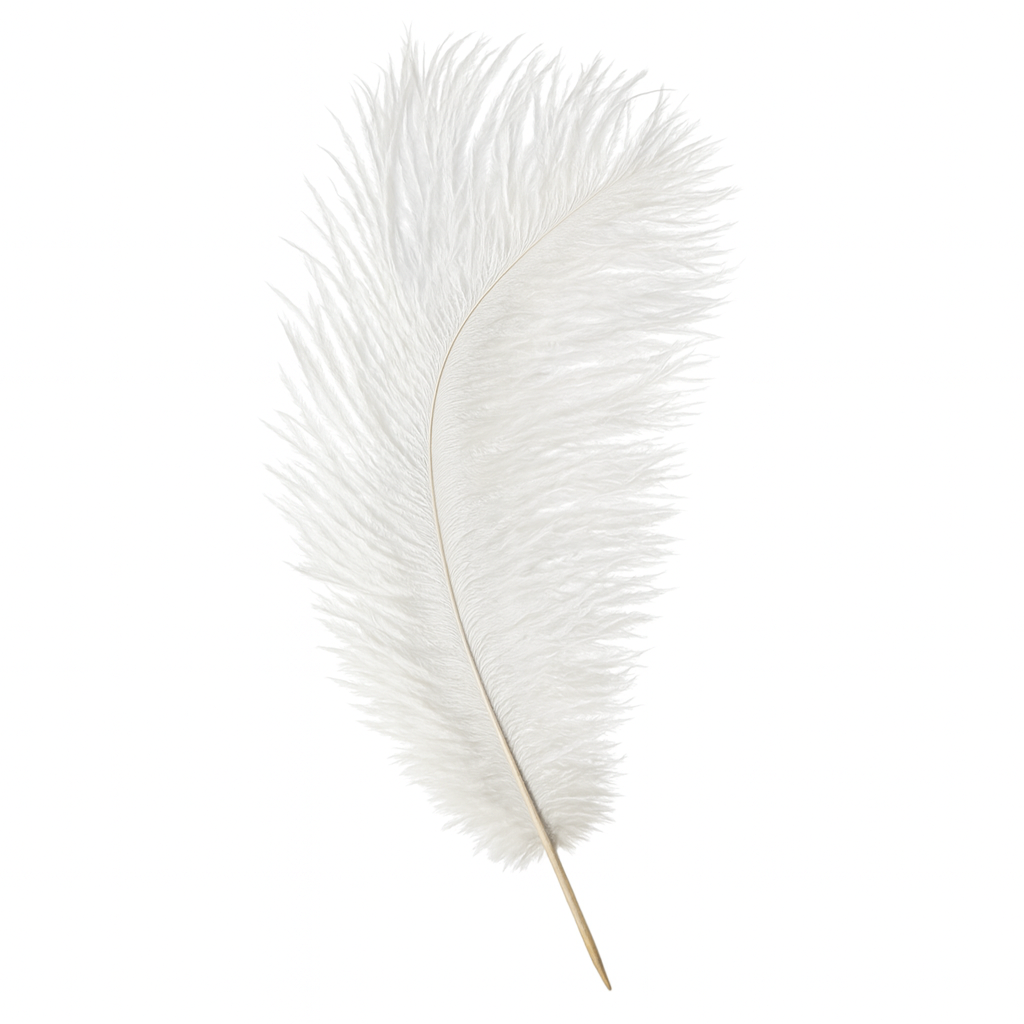 plume_autruche plume_autruche