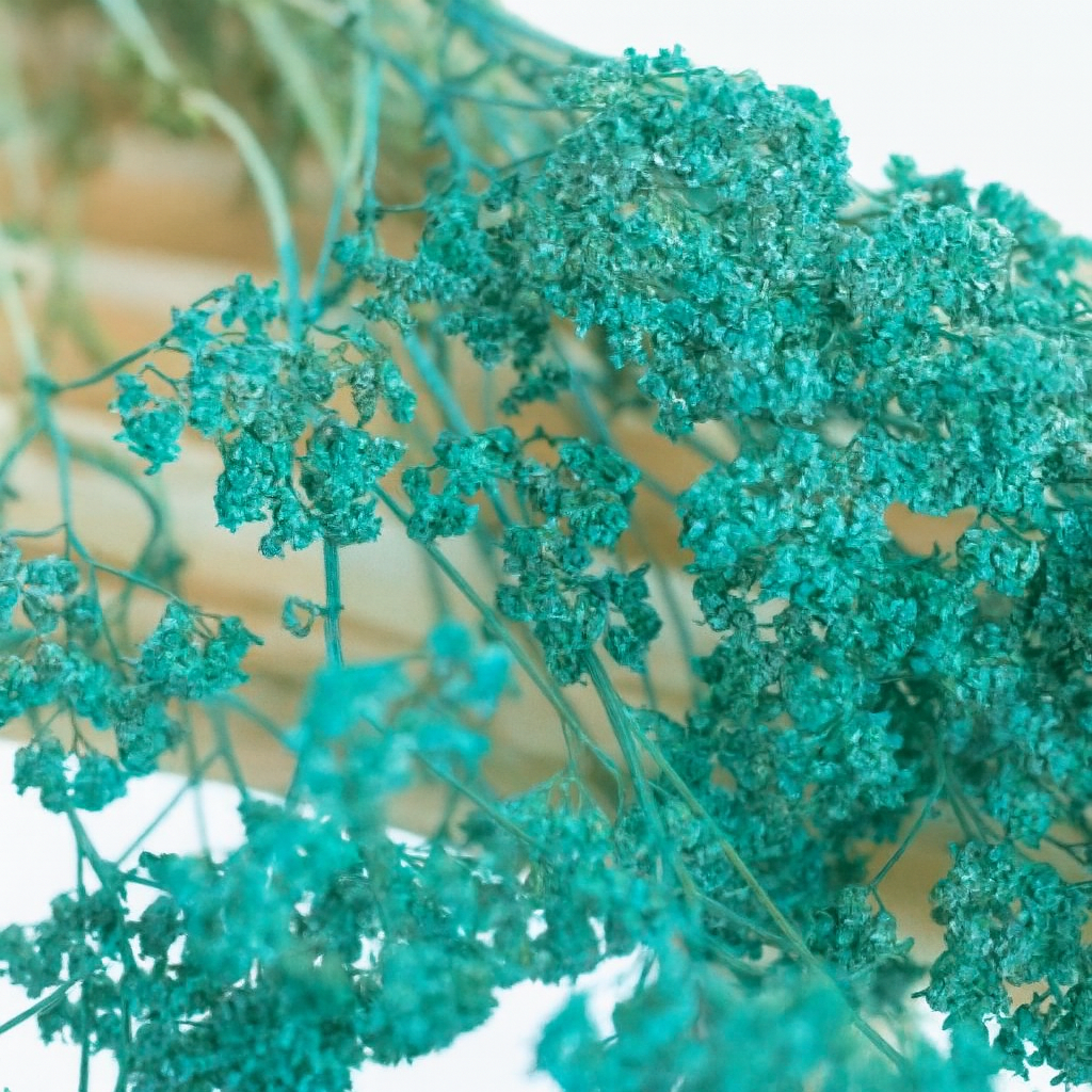 Achilée-bleu-canard Achilée-bleu-canard