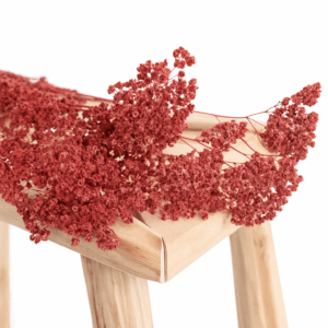 Achilée-rouge-terracotta