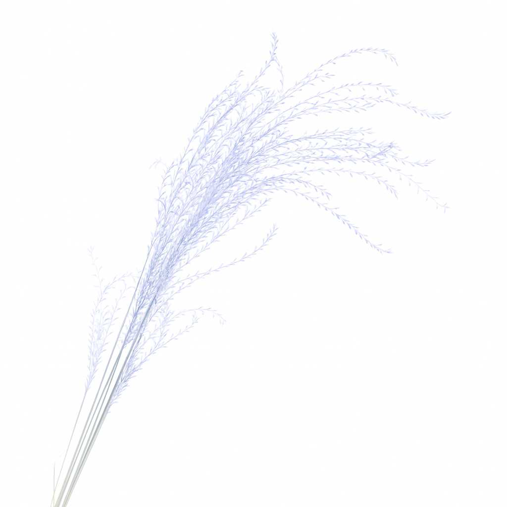 Miscanthus_séché_bleu_électrique Miscanthus_séché_bleu_électrique