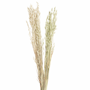 avoine_naturel_blanc