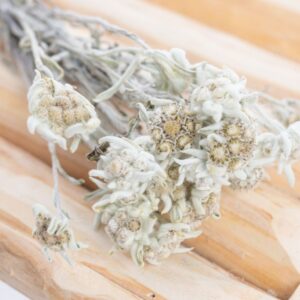 botte-edelweiss-sechee