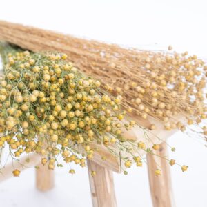 lin_naturel_blanchi_naturel