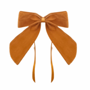 noeud_velours_cotelé_10x15