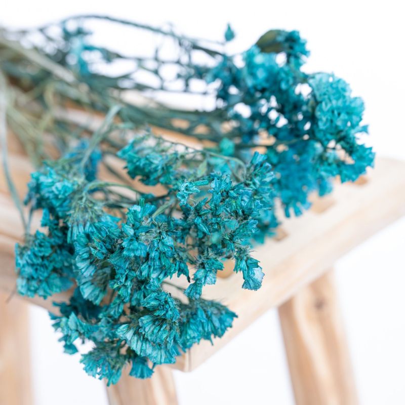 statice_bleu_canard statice_bleu_canard