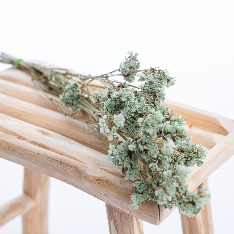 statice_verte statice_verte