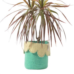 cache-pot-collerette-vert