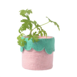 cache-pot-collerette-rose