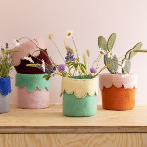 collection_cache_pot_collerette
