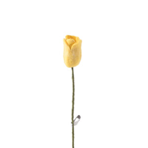 tulipe_jaune_laine