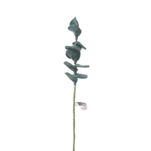 branche_eucalyptus_laine_vert
