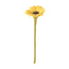 grand_tournesol_jaune_laine