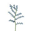 Branche_myrtille_laine_bleu