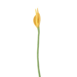 anthurium_laine_décoration_mariage_élégant_jaune-lautre-deco-events
