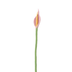 anthurium_laine_décoration_mariage_élégant_rose-lautre-deco-events