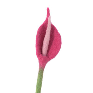 anthurium_laine_décoration_mariage_élégant_fushia