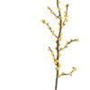 Grande_branche_forsythia_jaune_laine