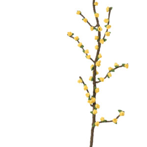 Grande_branche_forsythia_jaune_laine