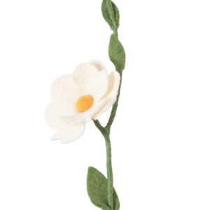 rose_sauvage_blanche-laine