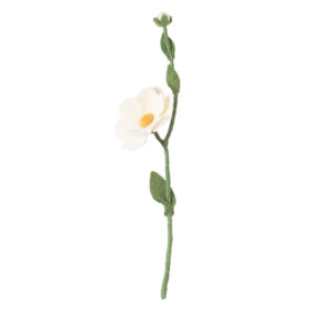 rose_sauvage_blanche-laine_tige