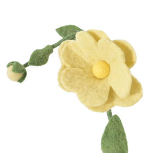 rose_sauvage_jaune-laine