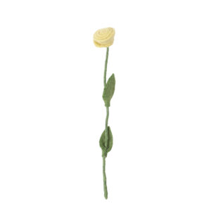 Rose_laine_jaune