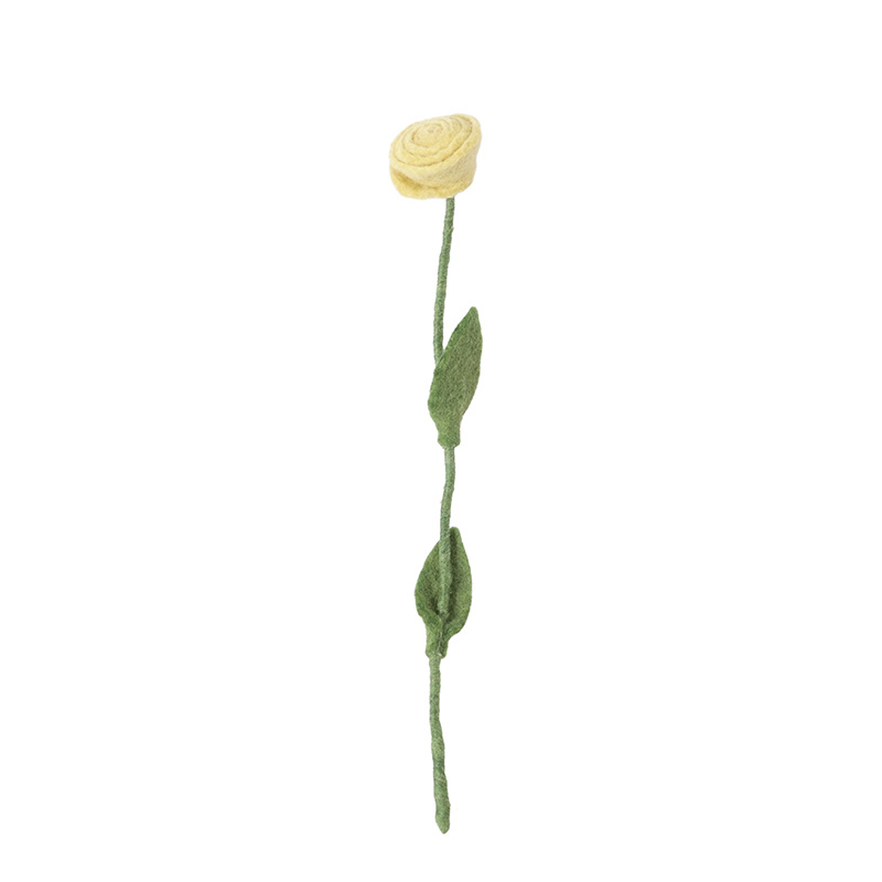 Rose_laine_jaune Rose_laine_jaune