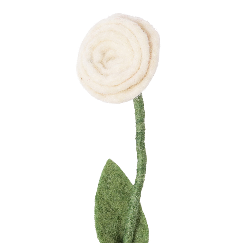 Rose_laine_blanche Rose_laine_blanche