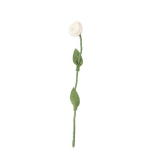 Rose_laine_blanche_tige