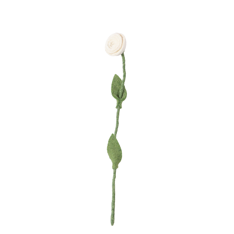 Rose_laine_blanche_tige Rose_laine_blanche_tige