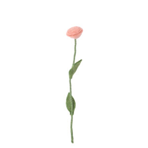 Rose_laine_rose
