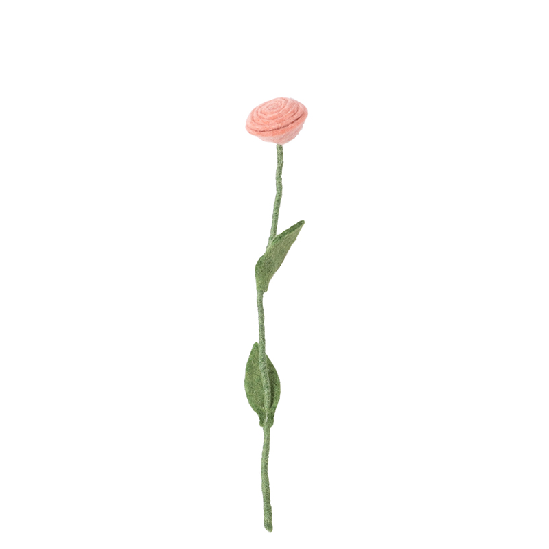 Rose_laine_rose Rose_laine_rose