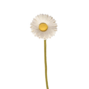 grand_tournesol_laine_blanc