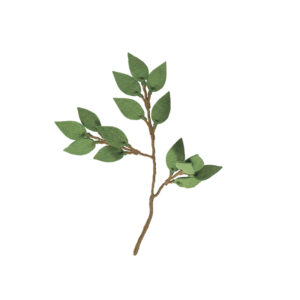 feuillage_vert_laine