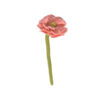 mini_pivoine_rose_laine