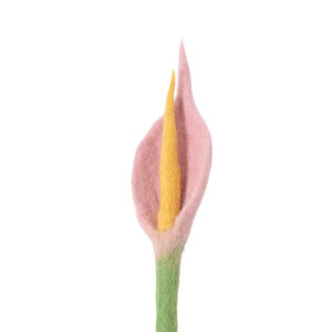 anthurium_laine_décoration_mariage_élégant_rose